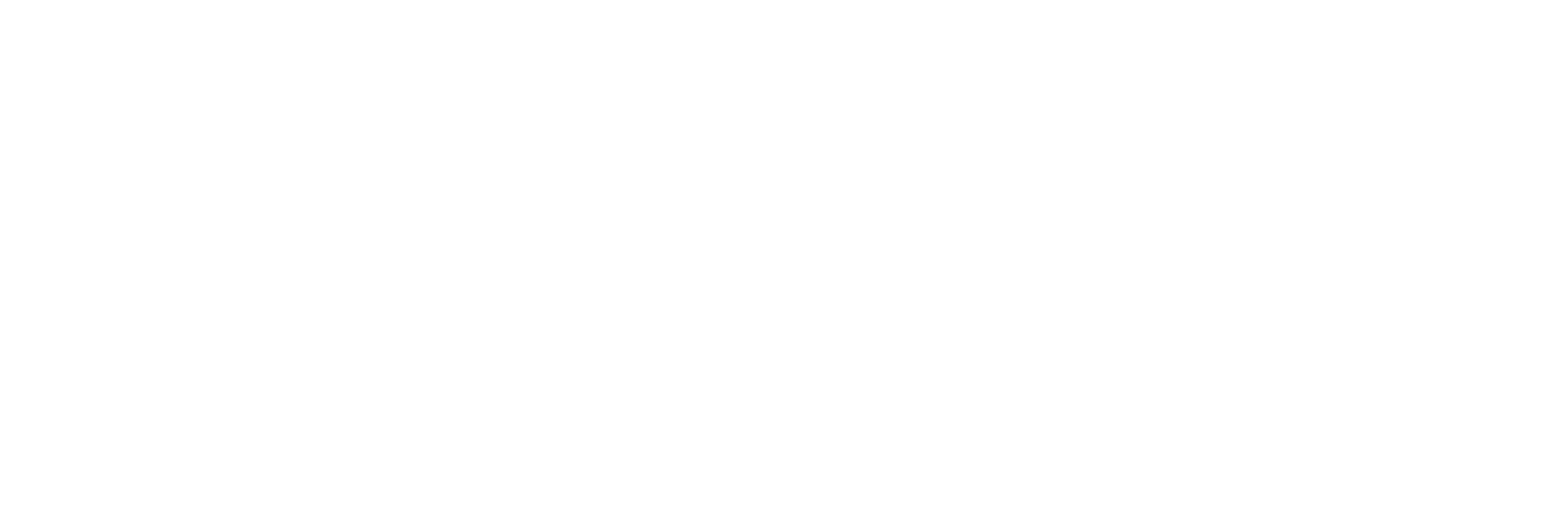 T3 VoiceNet